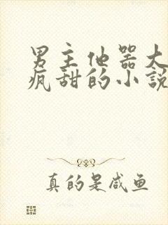 男主他器大活好疯甜的小说