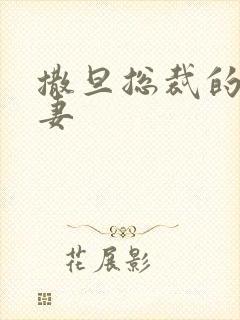 撒旦总裁的下堂妻