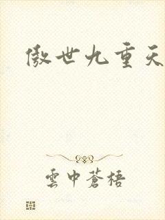 傲世九重天小说