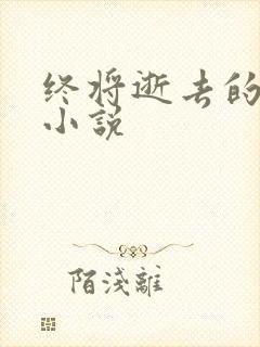 终将逝去的青春小说