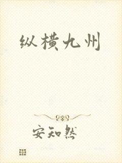 纵横九州