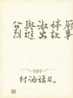 公与淑婷厨房猛烈进出故事