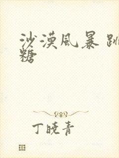 沙漠风暴 跳跳糖