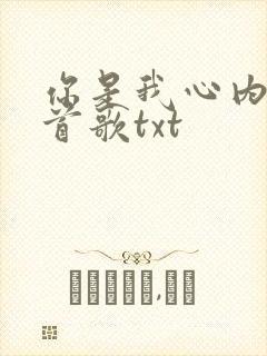 你是我心内的一首歌txt