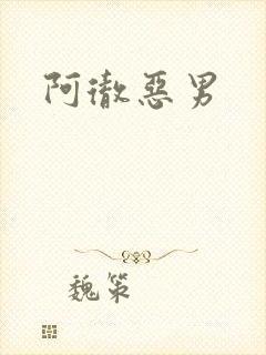 阿彻恶男