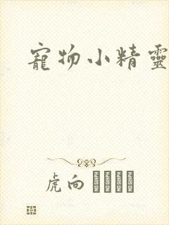 宠物小精灵漫画