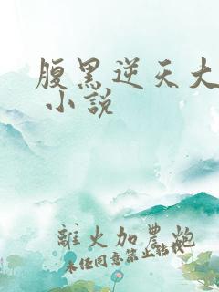 腹黑逆天大小姐 小说