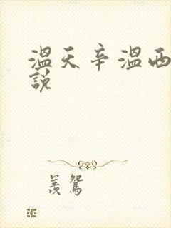 温天辛温西离小说