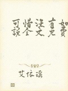 可惜没有如果小说全文免费阅读