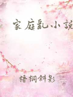 家庭乱小说