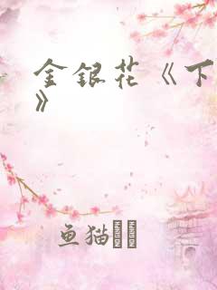 金银花《下厨房》