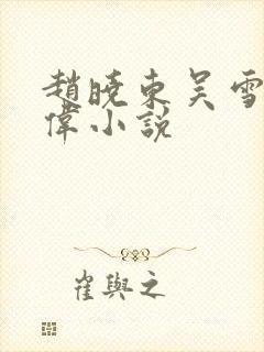 赵晓东吴雪晴郑伟小说