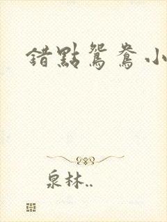 错点鸳鸯小说