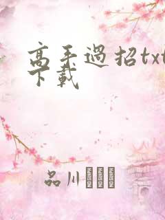 高手过招txt下载