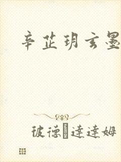 辛芷玥玄墨小说