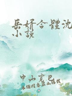 岳婿合体沈绝的小说