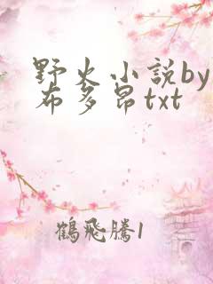 野火小说by夏布多昂txt