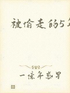 被偷走的5年
