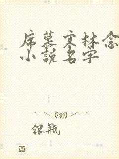 席慕寒林念儿的小说名字
