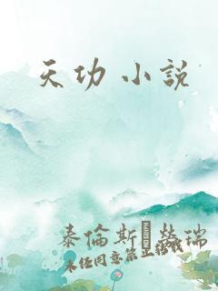 天功 小说