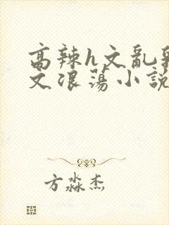 高辣h文乱乳h文浪荡小说苏瑾瑶