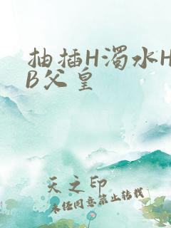 抽插H浊水H嫩B父皇