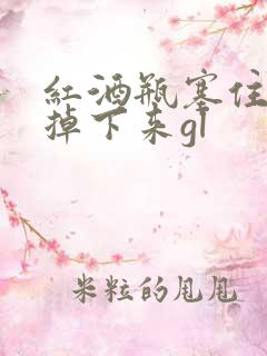 红酒瓶塞住不准掉下来gl