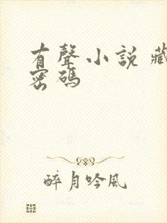 有声小说 藏地密码