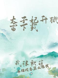 太子妃升职记迅雷下载