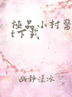 极品小村医txt下载