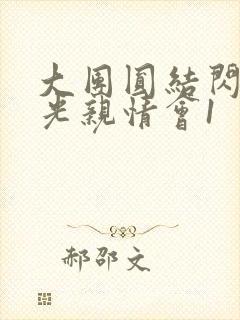 大团圆结闪闪发光亲情会1