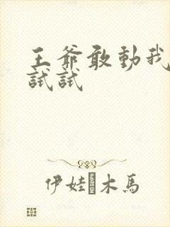 王爷敢动我妈咪试试