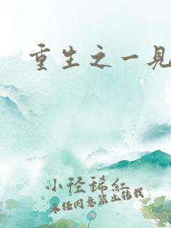 重生之一见倾心