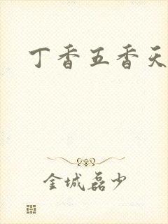 丁香五香天麻豆