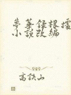 梦华录根据什么小说改编