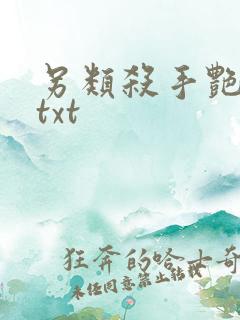 另类杀手艳福星txt