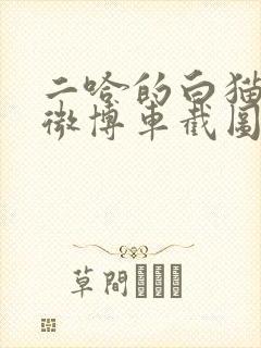 二哈的白猫师尊微博车截图