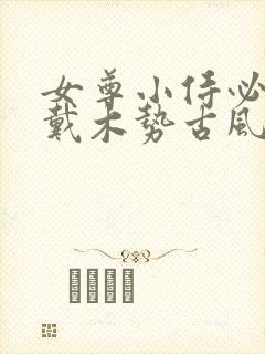 女尊小侍必须佩戴木势古风