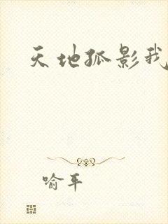 天地孤影我独行