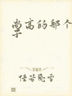 尚高的那个臭小子