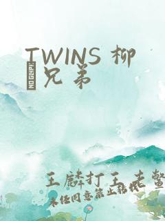 TWINS 柳澤兄弟