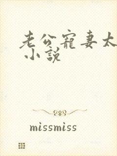 老公宠妻太甜蜜 小说