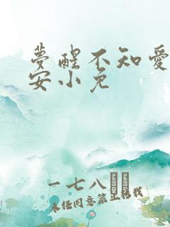 梦醒不知爱欢凉安小免
