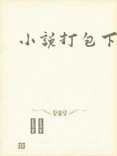小说打包下载