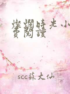 灿烂时光小说免费阅读