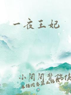 一夜王妃