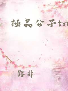 极品公子txt