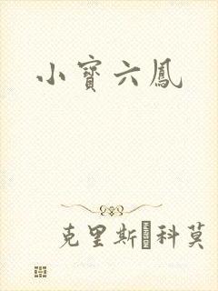 小宝六凤