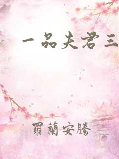 一品夫君三流妻