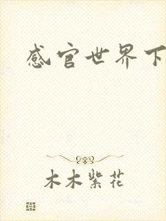 感官世界下载